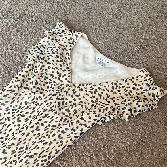 Leopard Print Dress - Picture 3 of 4